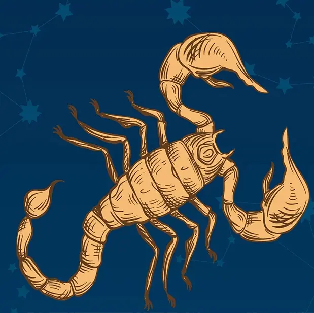 Scorpio-Jitu Astrology